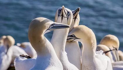 ATP新生力量总决赛：中国小将商竣程首秀失利