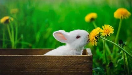 ATP新生力量总决赛：中国小将商竣程首秀失利